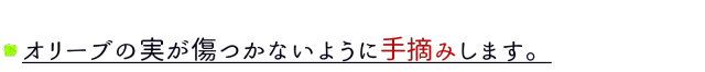 手摘みします。