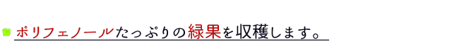 緑果を収穫します。