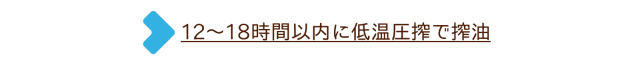 12～18時間以内に低温圧搾で搾油